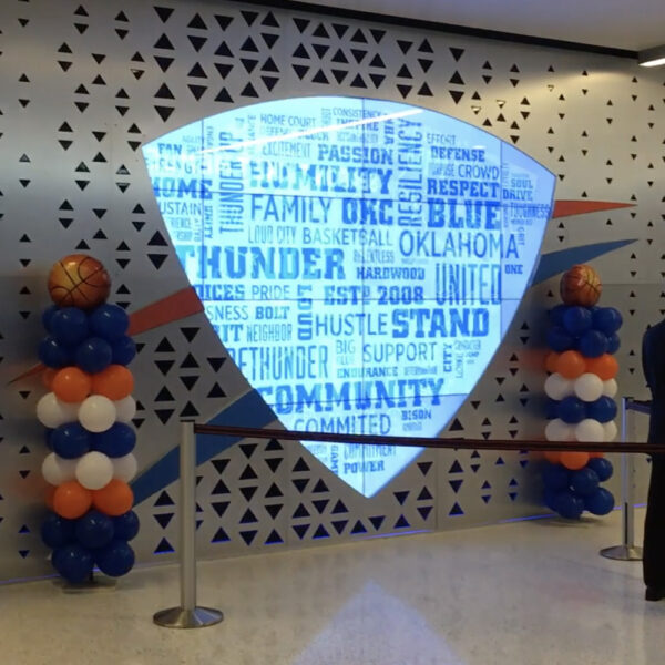 Sports Arena Display